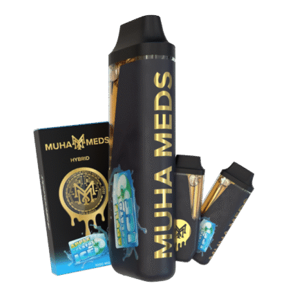 Apple Gelato Ice Muha Meds Disposable 2000MG | Hybrid